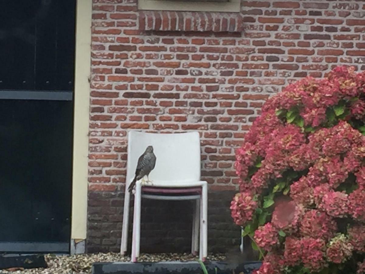 Groeten Uit Hoogmade - Rural Cottage Luaran gambar